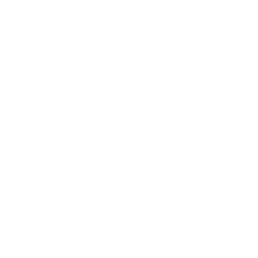 Passport AI